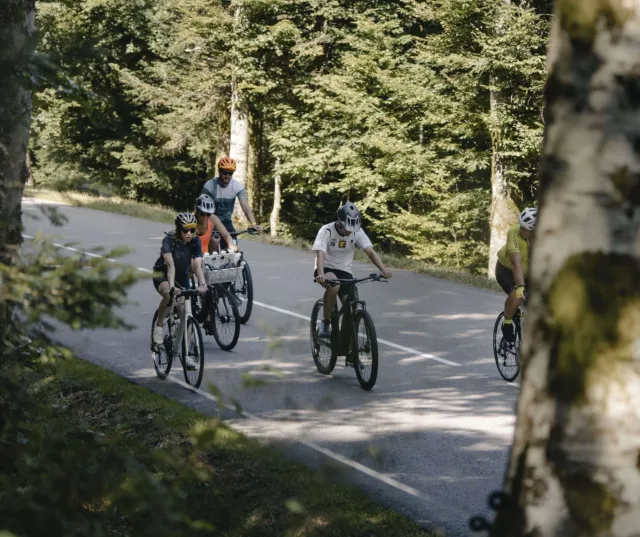 A vélo, profitez du col et de la forêt du Geisweg