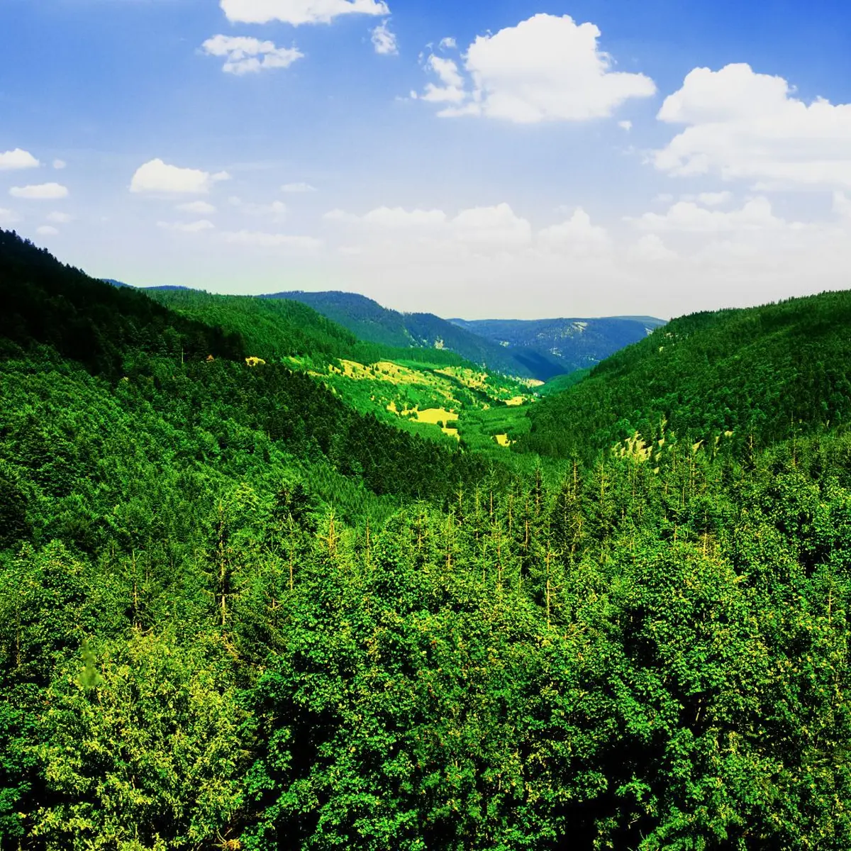 Col'Attitude à Plainfaing