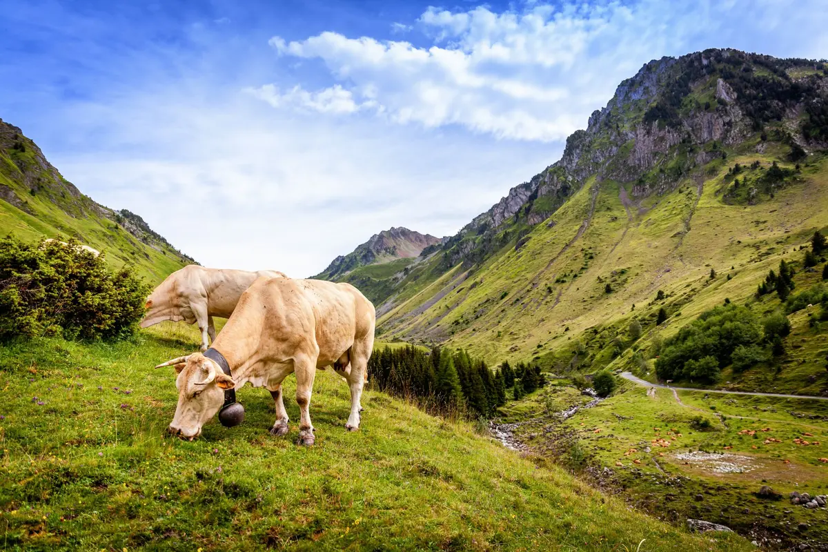 Le col du Tourmalet 