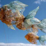 Collecte de déchets