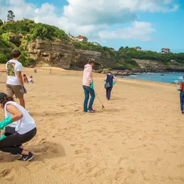 Collecte de déchets sur la plage