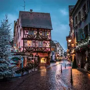 Où jeter son sapin de Noël à Colmar ? La collecte débute ce 5 janvier 2026