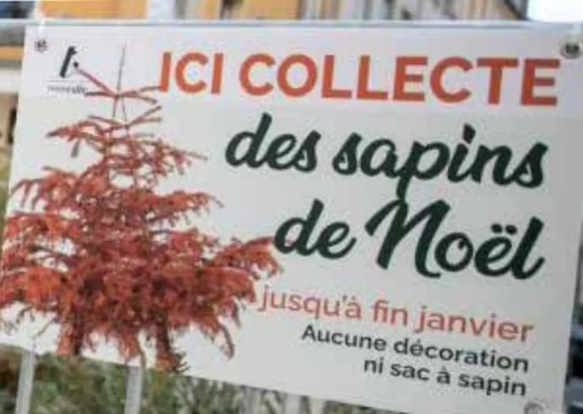 Sapin de Noël : Thionville met en place une collecte dédiée après les fêtes
