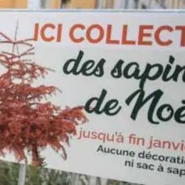 Sapin de Noël : Thionville met en place une collecte dédiée après les fêtes