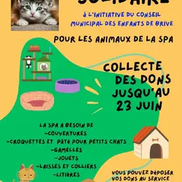 Top 5 des idées sorties pour ce week-end à Brive-la-Gaillarde (du 19 au 21 juin 2026)