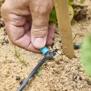 Collecter & économiser l'eau du jardin, Truffaut Colomiers (31)