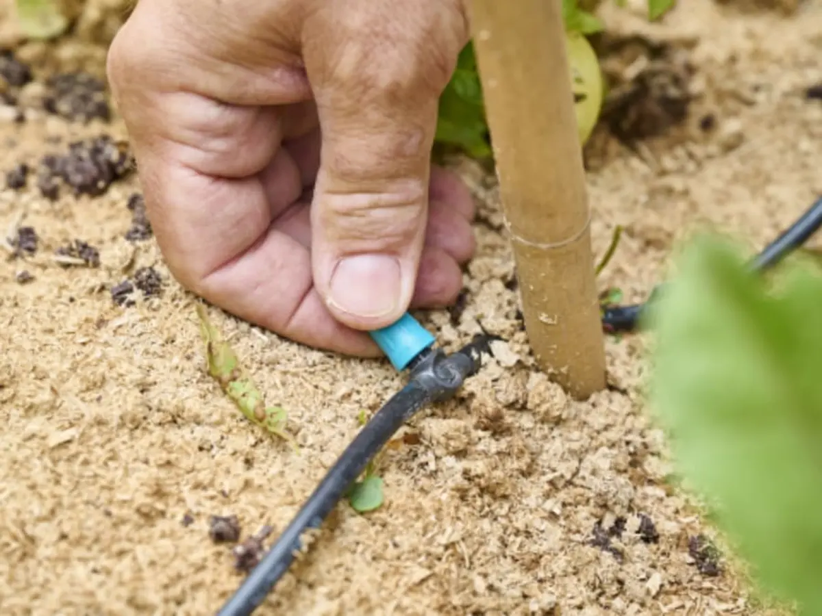 Collecter & économiser l'eau du jardin, Truffaut Mérignac (33)