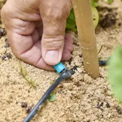 Collecter & économiser l'eau du jardin, Truffaut Servon (77)