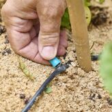 Collecter & &eacute;conomiser l'eau du jardin, Truffaut Villeparisis