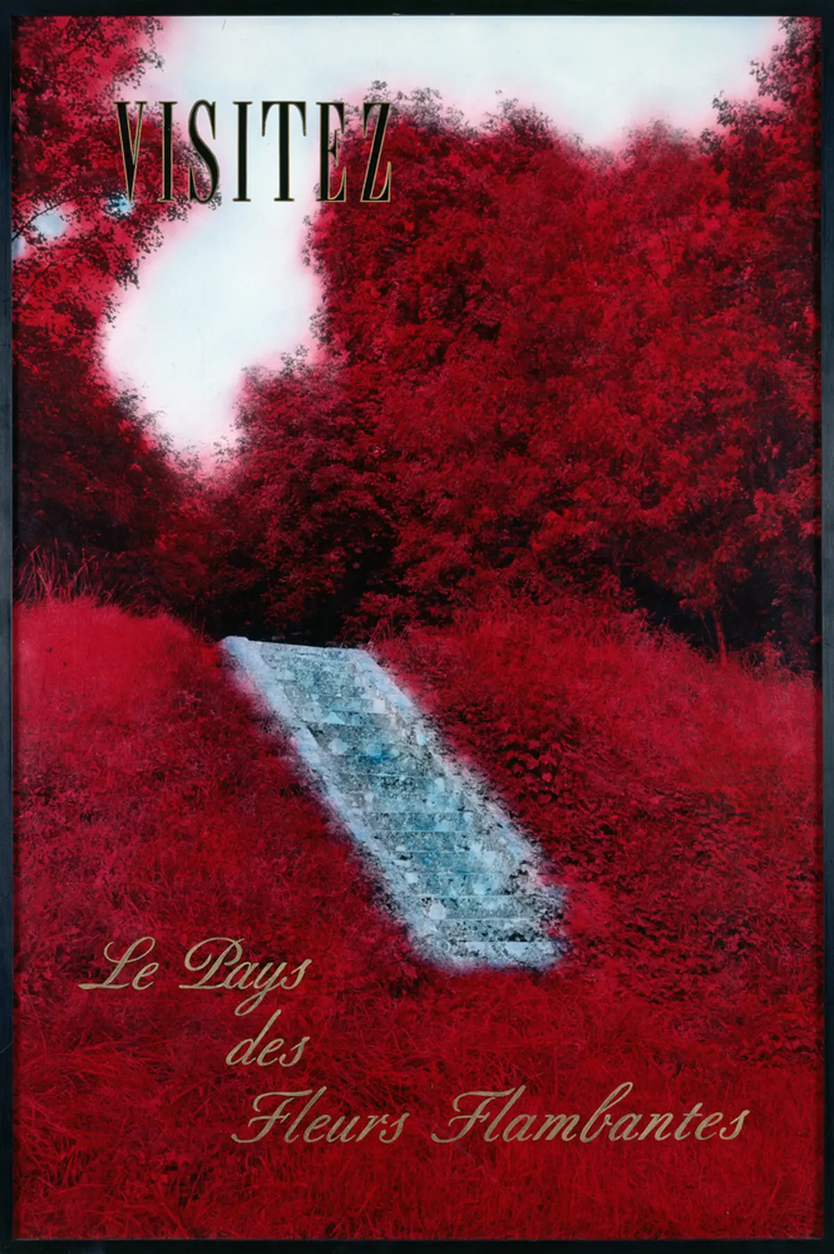 Collection en mouvement - Martien Aballéa