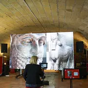 Collection Nature morte