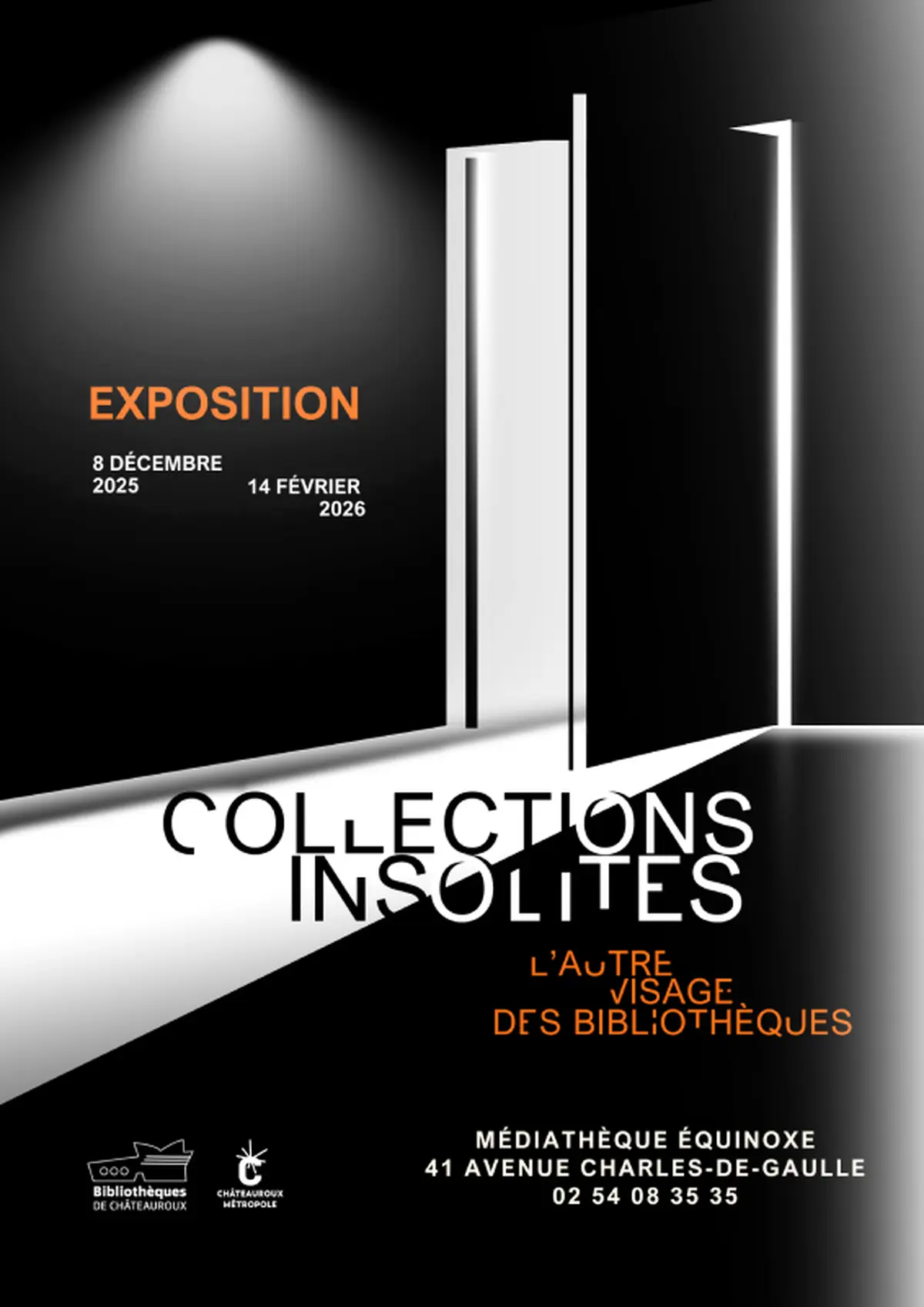 Collections insolites, l'autre visage des bibliothèques