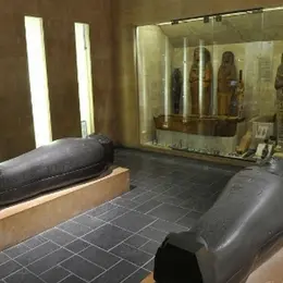 Collections permanentes du Musée d'Archéologie Méditerranéenne