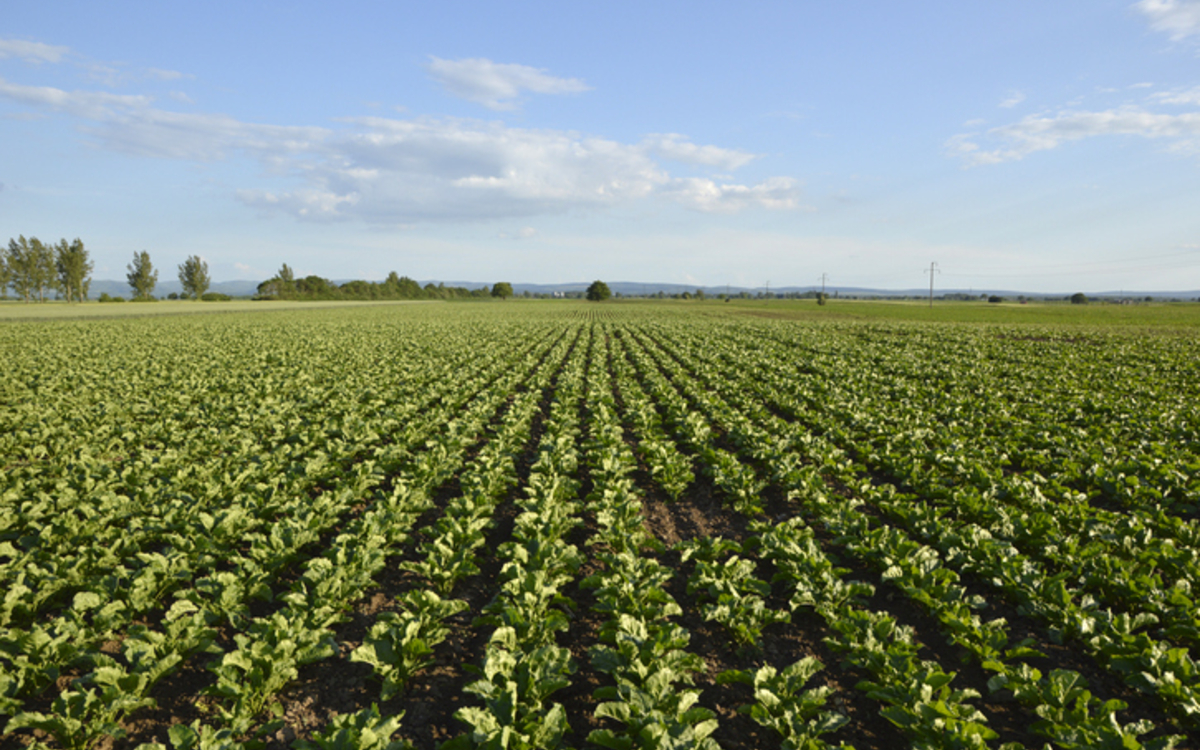 Colloque Le Socioscope, contribution à la transition alimentaire dans le cadre de l'Accord de Paris