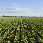 Colloque : « Le Socioscope, contribution à la transition alimentaire dans le cadre de l'Accord de Paris »