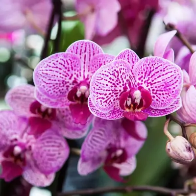 Colmar : nos 8 idées sorties du week-end