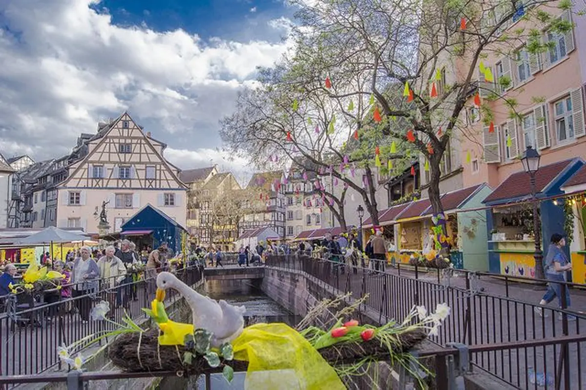 Canards, poules, lapins... C'est le retour du printemps à Colmar !