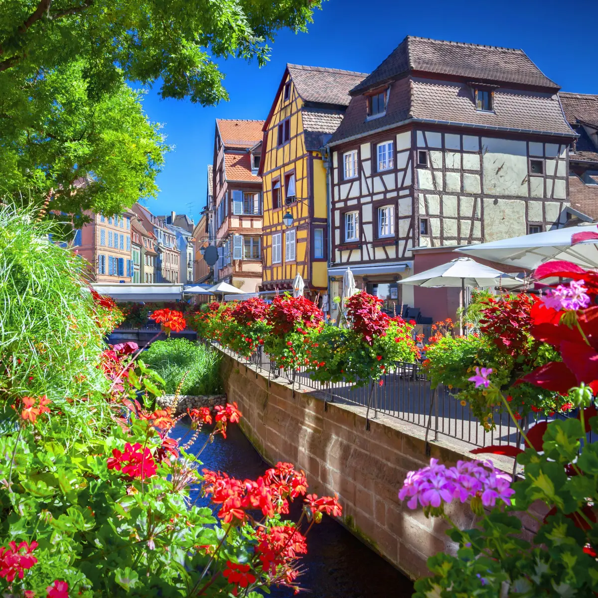 Colmar fête le Printemps 