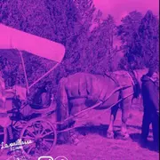 Colo été Itinérante