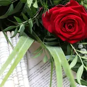 Com Un Ocell Dins Del Fullam