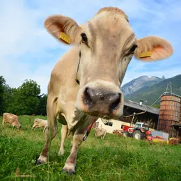 Comice agricole à Saint-Julien-aux-Bois