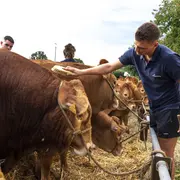 Comice agricole, Château-Chervix en fête!