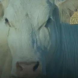 Comice agricole départemental