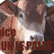 Comice agricole et brocante / foire commerciale