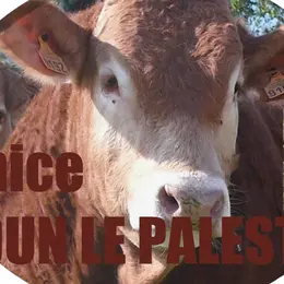 Comice agricole et brocante / foire commerciale