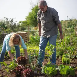 Comment créer un jardin écologique : le guide pour les débutants