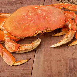 Comment cuisiner et décortiquer le tourteau ?