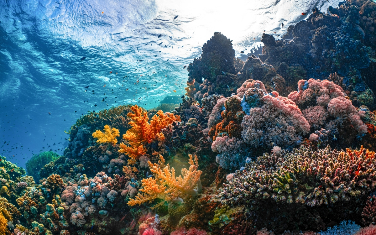 neom-HYHYGLs-Rp8-unsplash