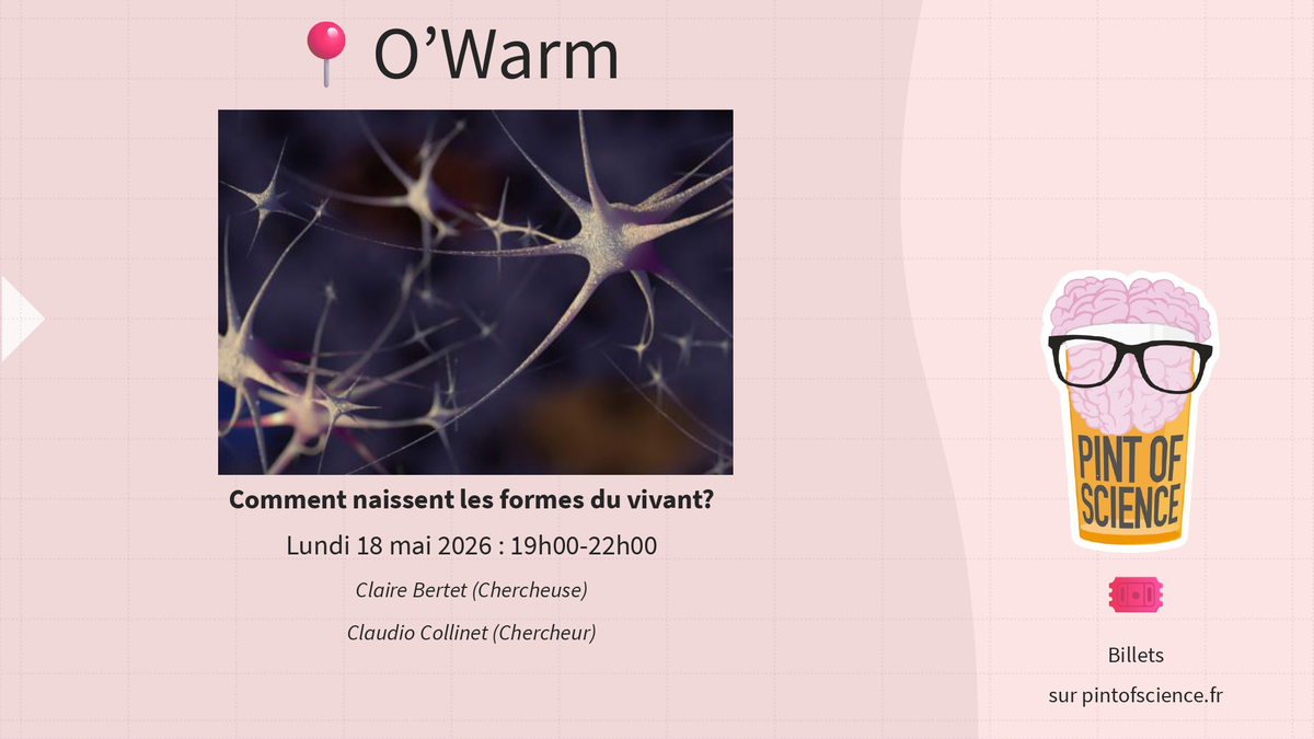 Comment naissent les formes du vivant? - Pint of Science 2026
