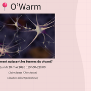 Comment naissent les formes du vivant? - Pint of Science 2026