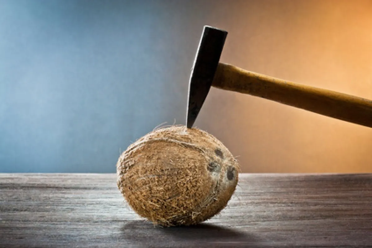 Comment ouvrir une noix de coco ?