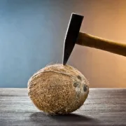 Comment ouvrir une noix de coco ?
