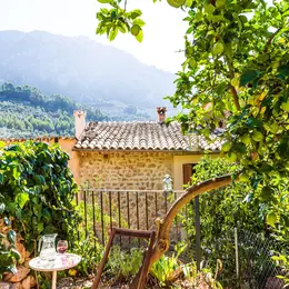 Comment profiter du printemps avec un voyage de dernière minute ?
