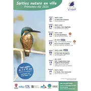 Commun vivant: Sorties nature en ville