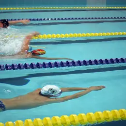 Compétition Interclubs de natation