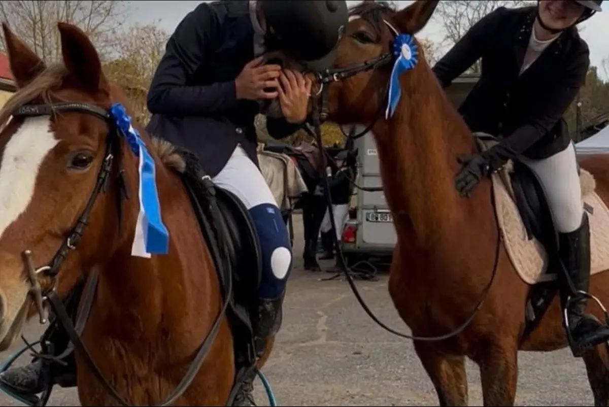 Compétition sauts d'obstacles Challenge du Bassin