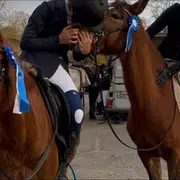 Compétition sauts d'obstacles Challenge du Bassin