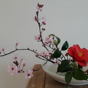 Compose un mini ikebana