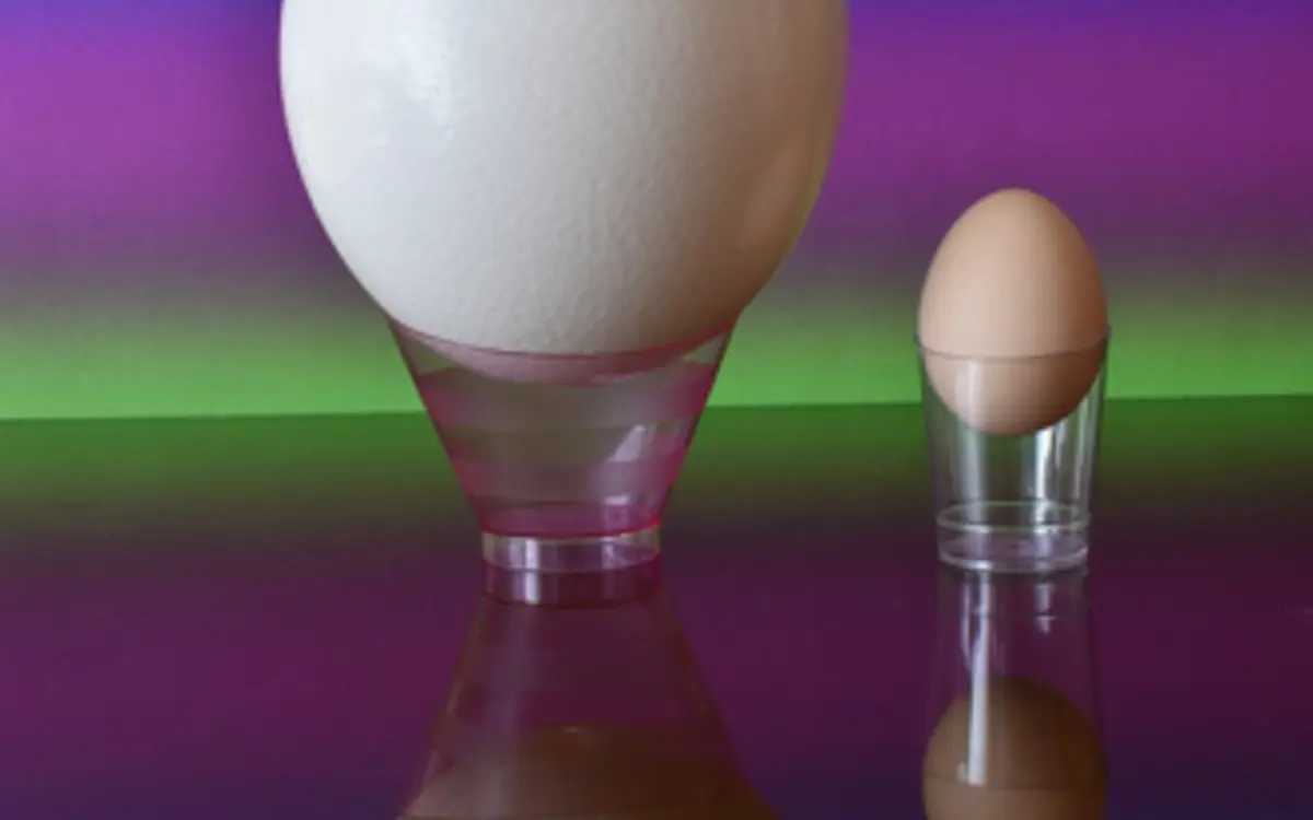 Comprendre la nature en la simulant