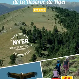 Comptage Des Chauves-Souris Du Village De Nyer