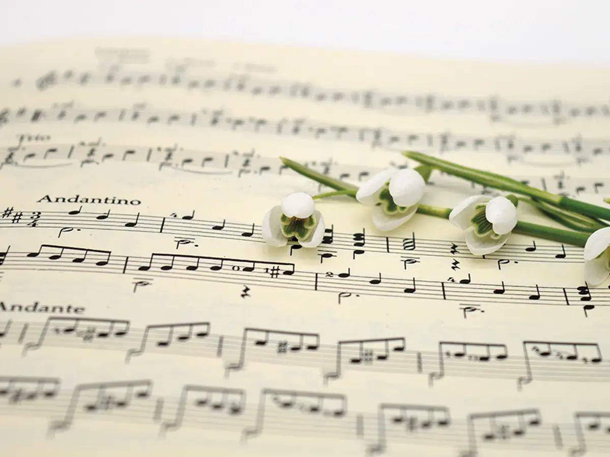 Concert - 2 chorales