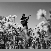 Concert | Alix Denavit