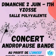 Concert : Andropause Bande