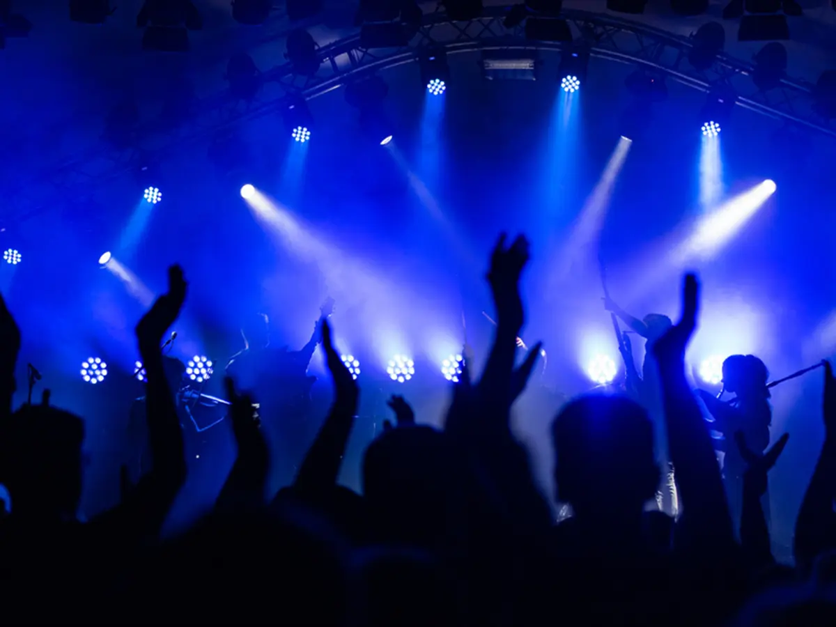 Concert - Animal Sound - Brasserie Cheval