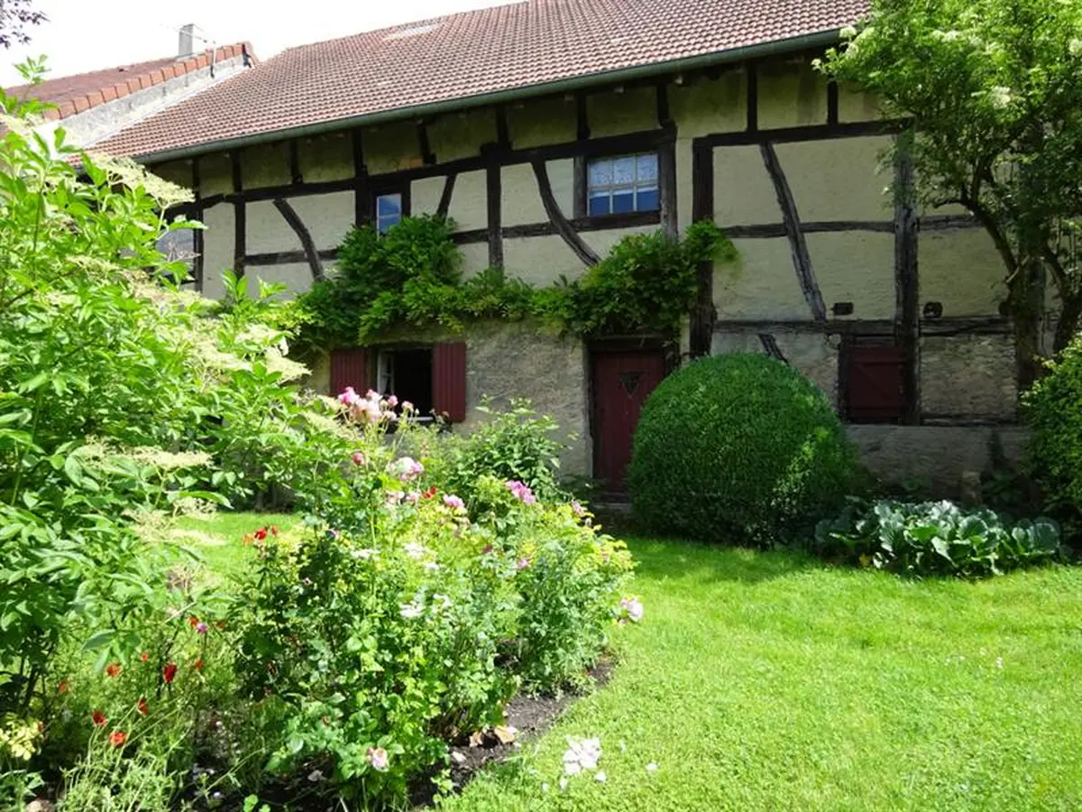 Concert au jardin - Les Scarabés