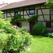 Concert au jardin - Les Scarabés